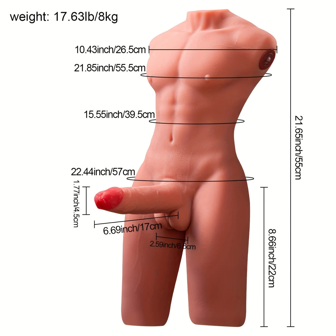 17.64Lb Male Sex Torso with Thrusting Realistic Dildo & Tight Anus