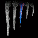 11.02in/13.77in/17.71in/21.65in/25.59in Big Long Octopus Tentacle Soft Dildo