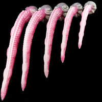 11in - 25.19in Extra Long Big Octopus Tentacle Hands Free Dildo