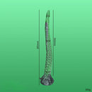 15.16in 17.32in Super Long Big Tentacle Silicone Butt Plug Dildo Anal Toy