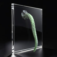 15.16in 17.32in Super Long Big Tentacle Silicone Butt Plug Dildo Anal Toy