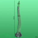15.16in 17.32in Super Long Big Tentacle Silicone Butt Plug Dildo Anal Toy