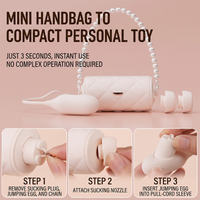 Luxury Handbag Concealment Clitoral Suction & Vibrating Love Egg Combo
