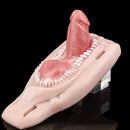 2.59in Super Small Silicone Strap on Wearable Dildo with Teeth For Couples