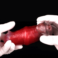 2.91in-8.85in Horse Cock Wearable Gag Fox Tail Vibrator Anchor Dildo