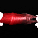 2.91in-8.85in Horse Cock Wearable Gag Fox Tail Vibrator Anchor Dildo