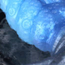 2.91in-9.05in Octopus Vibrating Anchor Dildo Butt Plug Wearable Mouth Gag