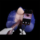 21.25in Deep Sea Endoscopy 3.0MP HD Camera 8 LEDs Huge Tentacle Dildo