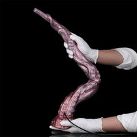 25in Tentacle Huge Long HD Camera Dildo Silicone Adult Toy Climax Device