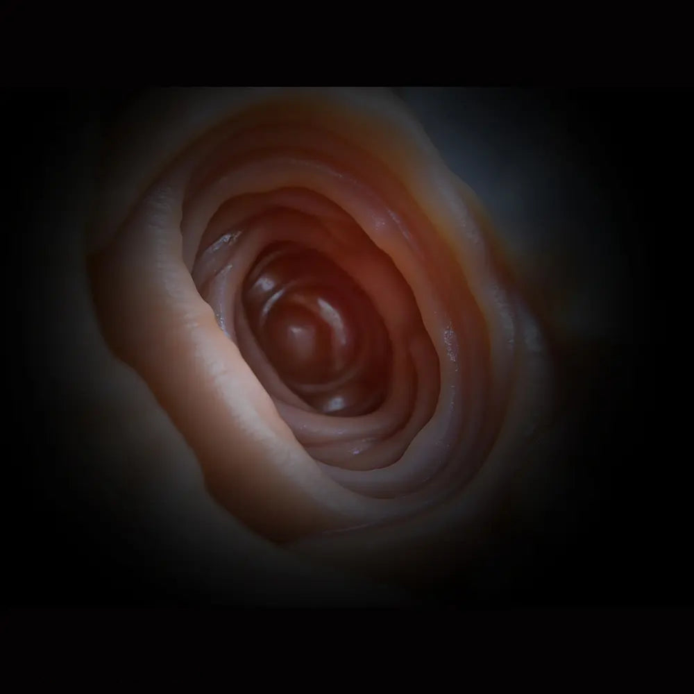 3.93in Horse Cock Dildo Animal Pussy Masturbator For G-Spot & Anal Stimulation