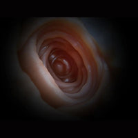 3.93in Horse Cock Dildo Animal Pussy Masturbator For G-Spot & Anal Stimulation