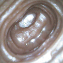 3.93in Horse Cock Dildo Animal Pussy Masturbator For G-Spot & Anal Stimulation