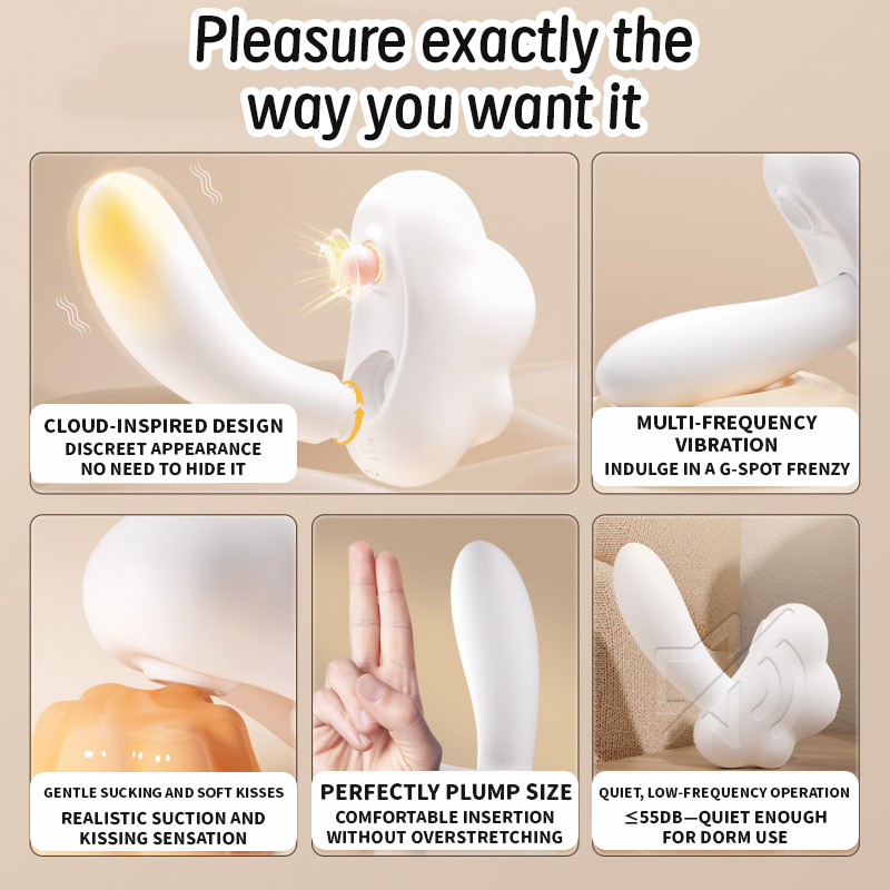 Cloud 2-in-1 Detachable Clitoral Suction & G-Spot Thrusting Vibrator