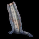 4.02in 4.76in 6.06in 6.69in Tentacle Strap on Hollow Cock Sleeve Dildo
