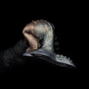 4.02in 4.76in 6.06in 6.69in Tentacle Strap on Hollow Cock Sleeve Dildo