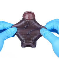 4.13in 4.8in 6.42in Real Skin Platinum Silicone Dildo Sleeve With Testicle Ring