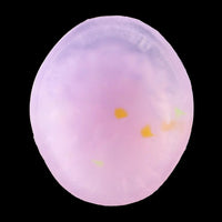 4.72in 5.9in 7.08in 8.66in Silicone Fantasy Soft Women Men Dildo With Key Chain