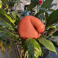 4.7in Realistic Scrotal Ball Soft Silicone Squeeze Toy With Two Testicles