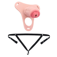 5.31in Silicone Horse Animal Cock Cage Strap on Chastity Dildo With Lock