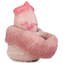 5.74in 6.53in 7.16in Realistic Dog Dildo Sleeve Enhance Intimate Moments