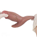5.8in Hairy Penis 10 Frequency Vibration Role Play Dildo Tail Butt Plug