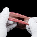 5.9in 7.04in Horse Cock Silicone Lifelike Dildo Sleeve Perfect Gift For Him
