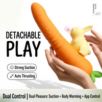 Cute Rabbit & Carrot Modular Suction & Heated Vibrating Wand Set