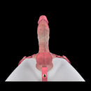 6.1in 8.46in Ultra-Stable Safe Strap on Dual Density Silicone Solid Dildo