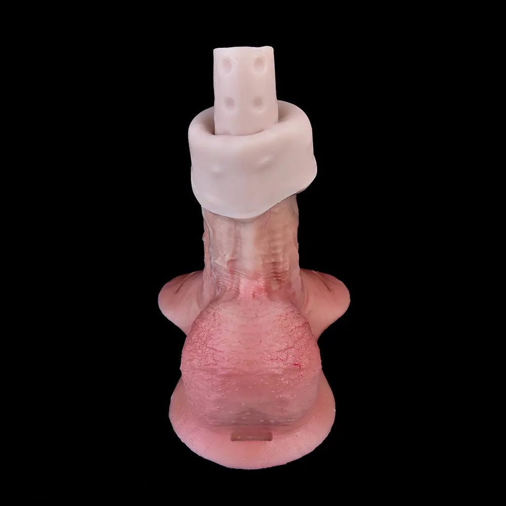 6.46in 8.43in Strap on Dual Density Silicone Real Skin Solid Dildo Female Pleasure
