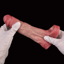6.57in Vibrating Realistic Remote Silicone Hollow Dildo Sleeve Extender