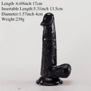 6.69in PVC Anal Adult Sex Toy Real Lifelike Dildo Penis Sexy Toy