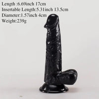 6.69in PVC Anal Adult Sex Toy Real Lifelike Dildo Penis Sexy Toy