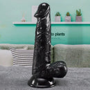 6.69in PVC Anal Adult Sex Toy Real Lifelike Dildo Penis Sexy Toy