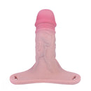 6.69in Strap on Chastity Dildo Wearable Realistic Cock Cage For Men Gay
