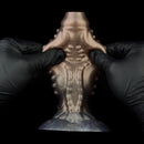 6.69in Tentacle Silicone Monster Hollow Strap on Dildo Sleeve For Adults