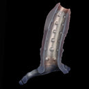 6.77in Tentacle Spiked Silicone Strap on Dildo Sleeve For Adult Couples