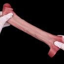 7.05in Lifelike Blue Veins Hollow Dildo Cock Sleeve With Cock Ring For Anus