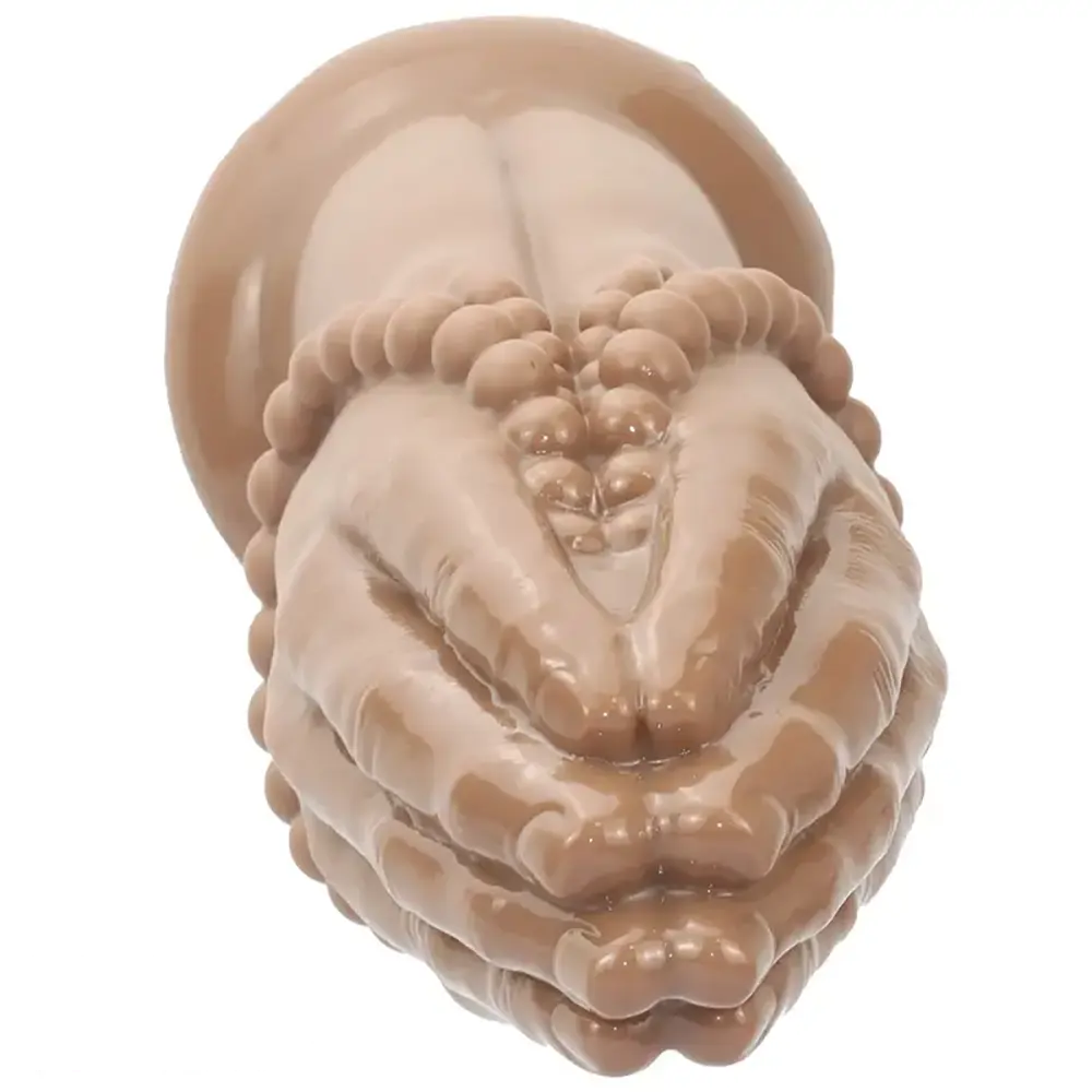 7.08in 10.43in 13.18in Extra Large PVC Bergamot Thick Fist Hand Dildo