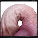 7.08in 8.85in Realistic Soft Skin Feel Dildo Adult Sex Toy For Adults