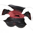 7.08in Horse Cock Silicone Masturbator For Women Men Fucking Sex Toy
