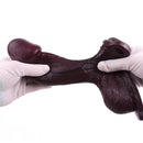 7.28in Hollow Strap on Real Dildo Highquality Beginnerfriendly Cock Toy