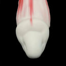 7.28in Red White Dolphin Liquid Silicone Waterproof Flexible Knot Fantasy Dildo