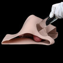 7.36in Hollow Lifelike Strap on Dildo Panty Protruding Veins Realistic Penis