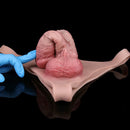 7.36in Hollow Strap on Dildo Panty With Realistic Skin Texture Couples