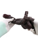 7.47in Hollow Strap on Real Dildo Realistic Design Bodysafe Material