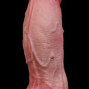 7.48in Dual Density Silicone Ejaculating Dildo Male Female Penis Anal Toy