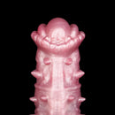 7.48in Spiked Horse Cock Sleeve Dildo Fantasy Penis Extender Sex Toy