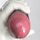 7.87in 10.03in 11.88in Dual Density Silicone Lifelike Big Strapon Dildo Dilator
