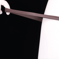 7.87in Lifelike Hollow Strap on Dildo Panty For Stimulation and Expansion