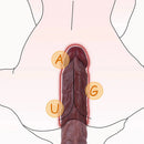 7.87in Lifelike Penis Dick For Woman Masturbator Adult Sex Dildo Toy